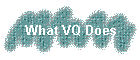 What VQ Does