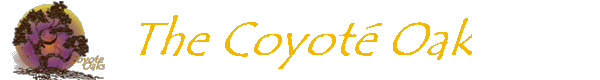 The Coyot� Oak