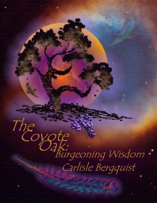 The Coyote Oak:  Burgeoning Wisdom