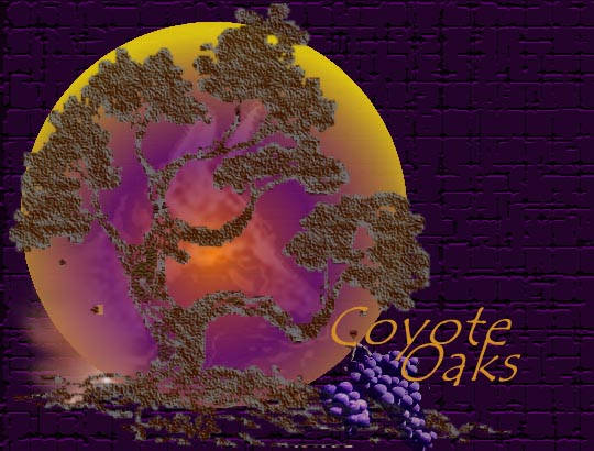 Coyote Oaks is a natural gathering place for transformation offering workshops, and retreats promoting personal growth, and transpersonal development.