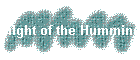 Filght of the Hummingbird
